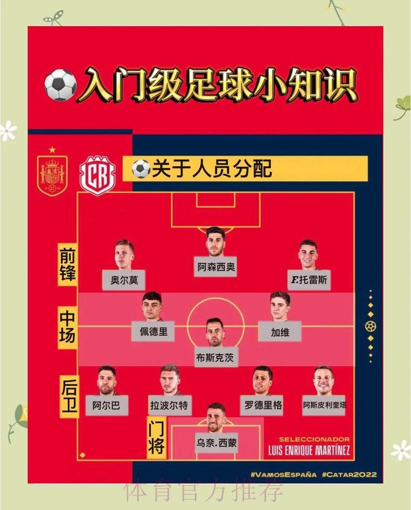 深入解析：世界杯预测全站指南